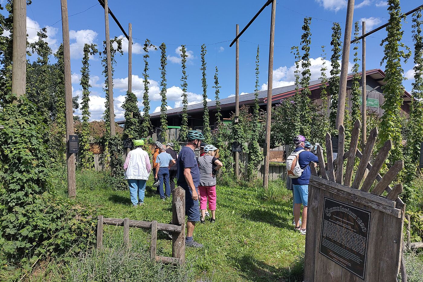 20250831_ADFC_LA_Hopfentour_10_Osterwind_Humularium