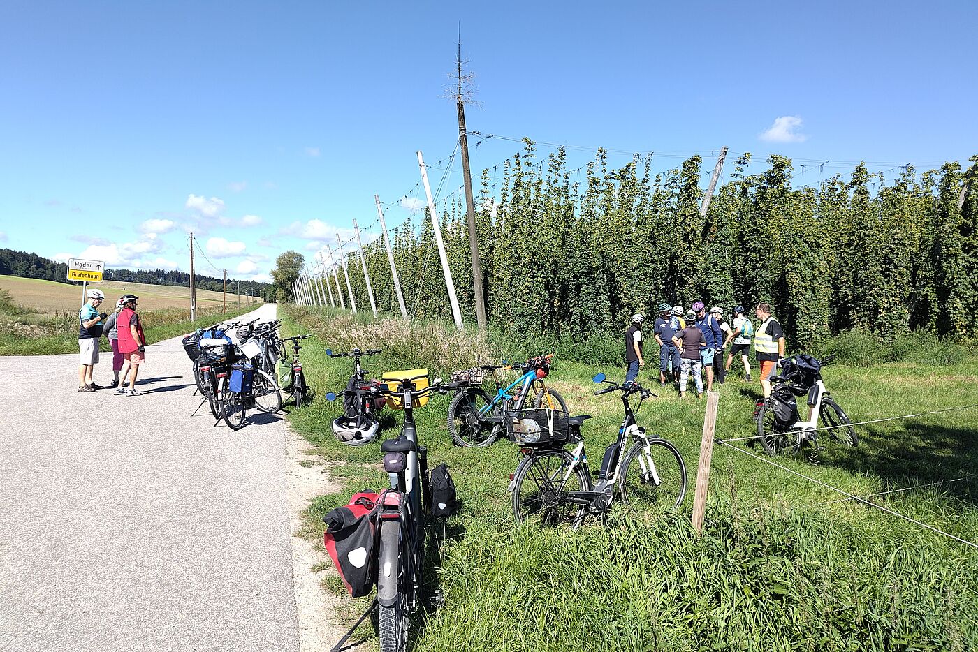 20250831_ADFC_LA_Hopfentour_04_Grafenhaun_Hopfengarten